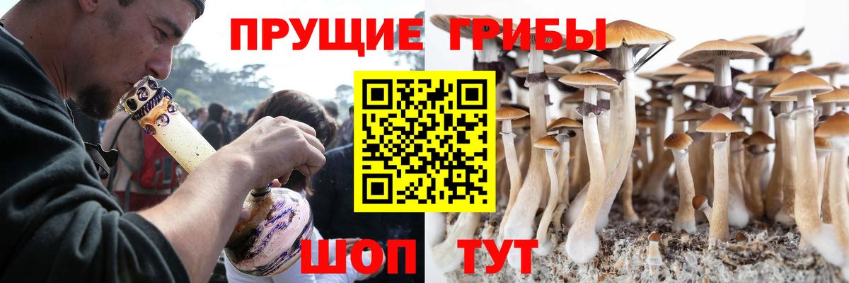 Сафоново  Галлюциногенные грибы Cubensis  Вход с VPN  Галлюциногенные грибы ЛСД 